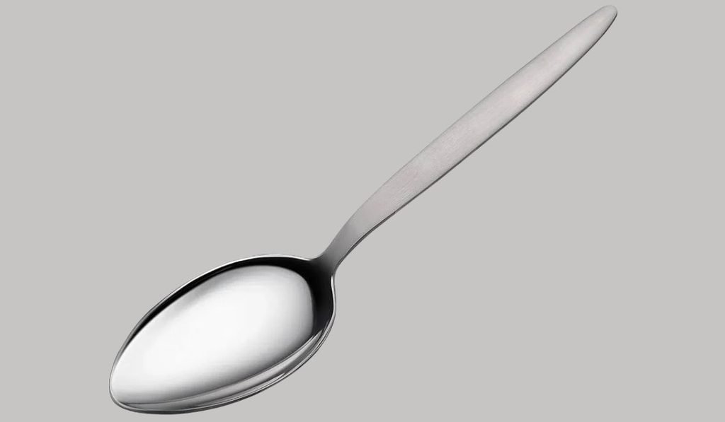 Large Serving Spoon