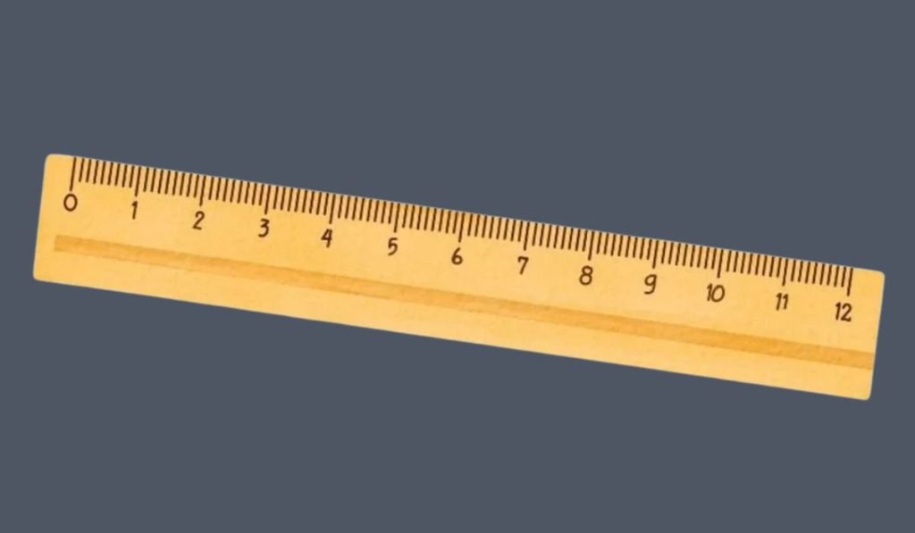 Nine-Inch Ruler Segment